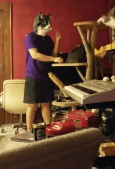 Enlace a Mi gato cada vez se comporta de forma más rara