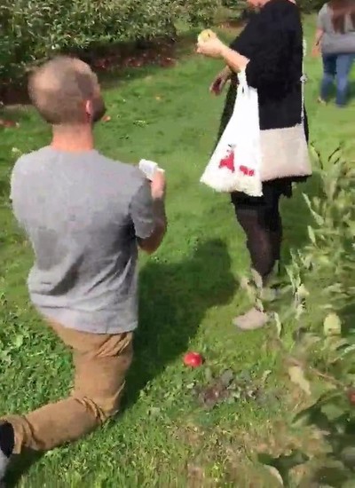 troll,novia,matrimonio