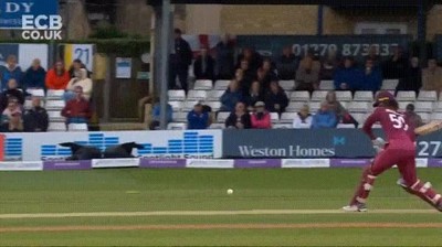 Enlace a Una de las mejores atrapadas que he visto en un partido de cricket 