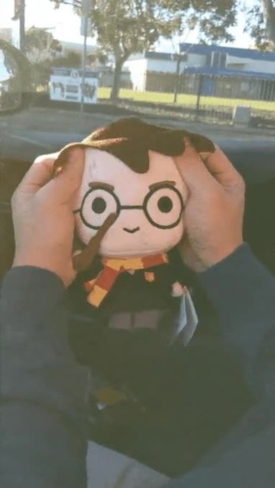 harry potter,cepeda,segundos