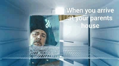 visita,casa,padres,nevera