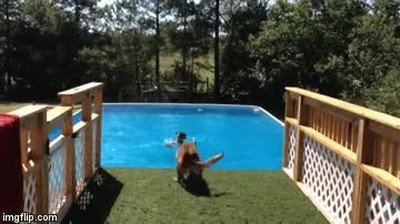 dignidad,fiesta,perro