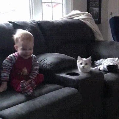 abrir,lata,atun,gato,cerca