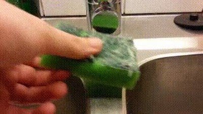 mayor,cocina,estropajo,limpio