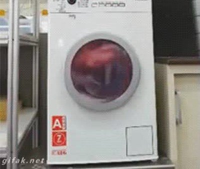 truco,compa&ntilde;eros,piso,nevera