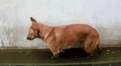 Enlace a He salido de fiesta y he visto esta misma escena con personas millones de veces 