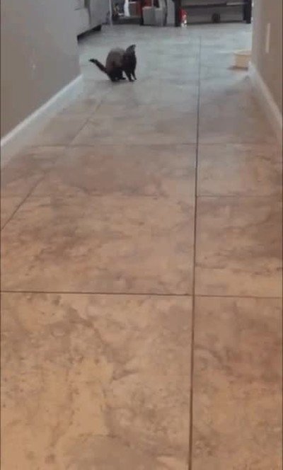 pillada,chica,gustar