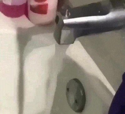 instinto animal,ruido,agua,perro