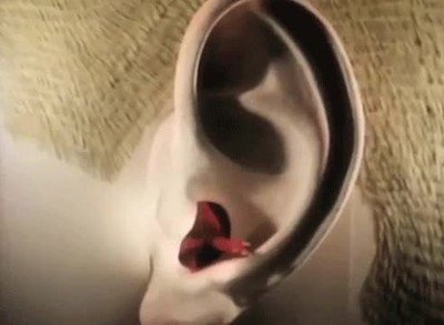 escuchar,hablar,oreja