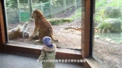 pareja,pelear,reaccion