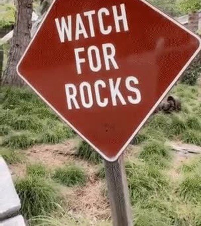 Enlace a Cuidado con las rocas... Me parto con esto 