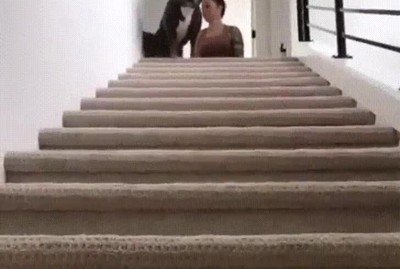 repetir,postre,perro