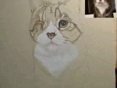 Enlace a Time lapse del dibujo de uno de mis gatos