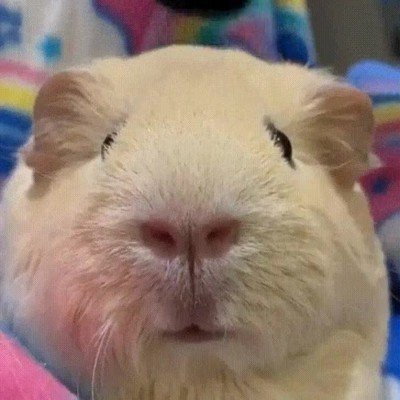 madre,peinar,colegio