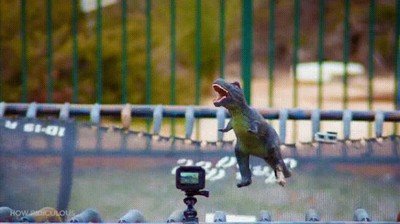 extinci&oacute;n,dinosaurios