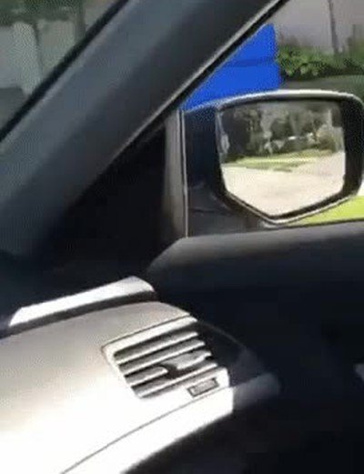 Enlace a La manera más random de empezar el día 