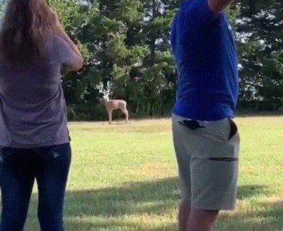 pedida,mano,romantico