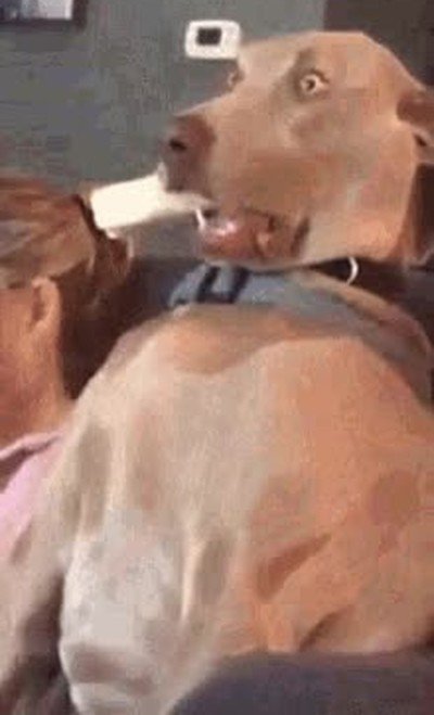 cartulina,deberes,casa