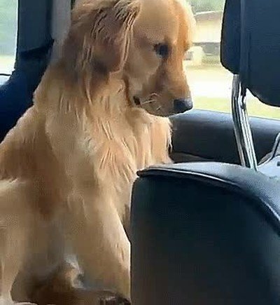 Enlace a Tu cara el primer día de clases después de las vacaciones