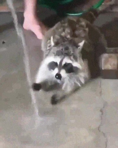 Enlace a Cuando vuelves de hacer footing y te mueres de ganas de beber agua 