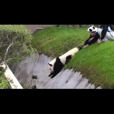 trabajo,equipo,digno