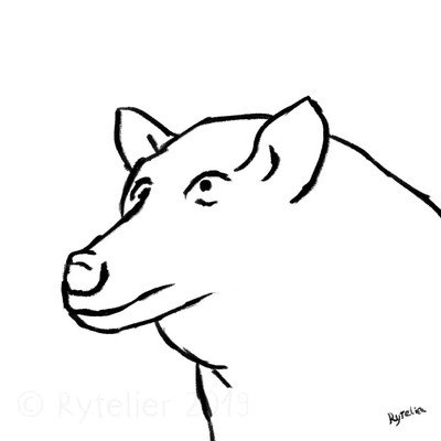 caricatura,lobo,realista