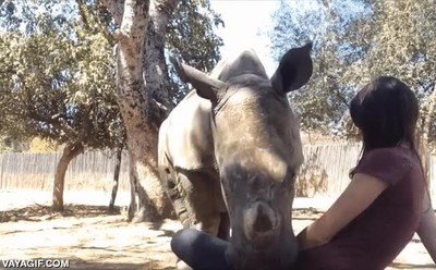 Enlace a Venga va, hazme unas cosquillitas