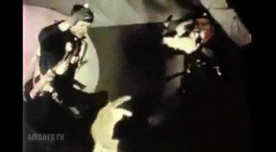 gravedad,gatos,espacio