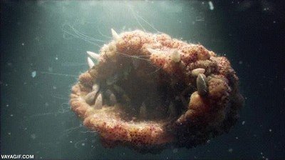 Enlace a Y un día Dios decidió crear esto