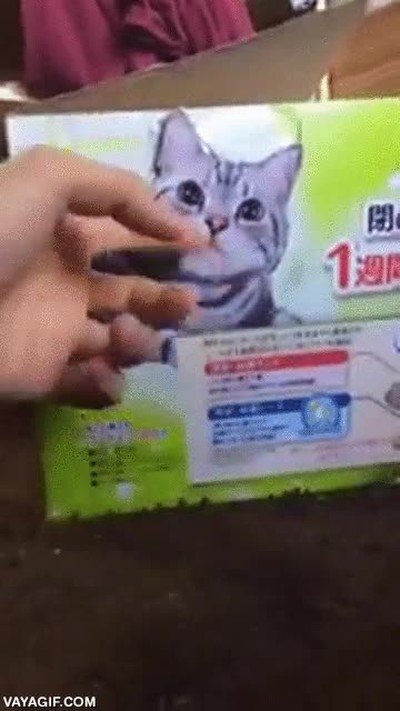 Enlace a Toc toc, ¿hay alguien ahí?