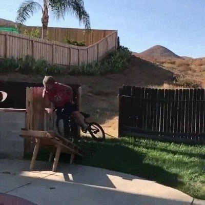 Enlace a ¿De verdad pretendías que todo saliera bien?