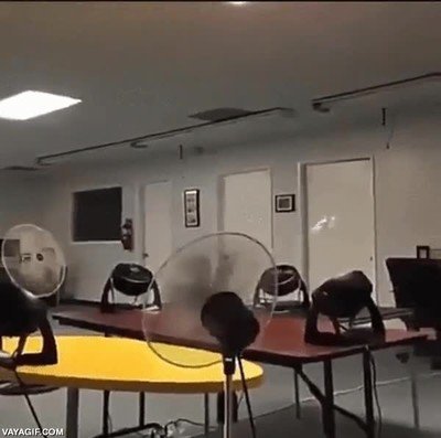 avioncillo,papel,ventiladores