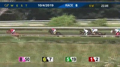 extra&ntilde;a,desaparici&oacute;n,carrera,caballos