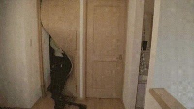 borracho,casa,puerta