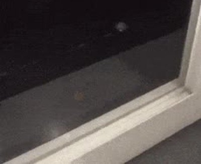 ventana,ara&ntilde;a
