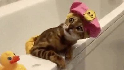 Enlace a Cuando estás sola en casa relajándote en la ducha y de repente escuchas un ruido