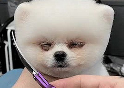 Enlace a Cuando el peluquero te dice que ya ha terminado y que puedes abrir los ojos 