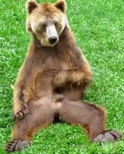 Enlace a Cuando me quedo solo en casa y no tengo absolutamente nada que hacer 