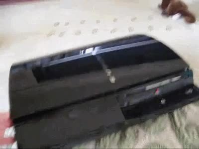 gente,consola,ni&ntilde;os,rata,demasiado