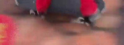 Enlace a Absolutamente todo el mundo se está disfrazando de Joker