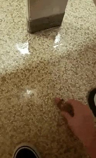 Enlace a Lo que realmente pasa en el lavabo de hombres 