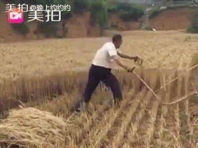 Enlace a Me recuerda a cortar hierba con la espada en The Legend of Zelda