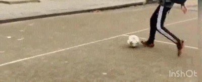 conseguir,pelota,mochila