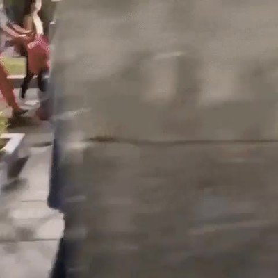 perro,mejor,amigo,hombre