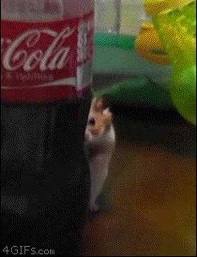 Enlace a Yo de pequeño cuando venían visitas a casa y me daba pereza saludar