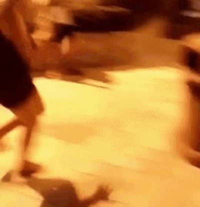 saltar,potro,clase,gimnasia