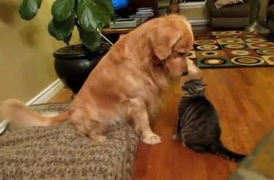 Enlace a Cuando le pides a tu hermano pequeño que se porte bien y deje de hacer tonterías 