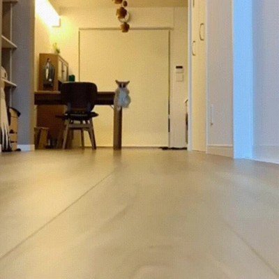 amigo,abrir,paquete,chicles