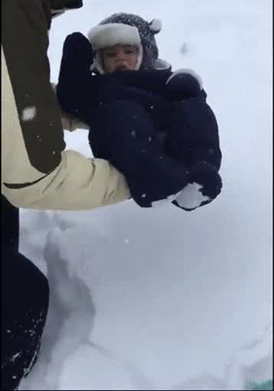 Enlace a Así nacen los niño en Canadá 