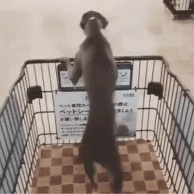 Enlace a Cuando tu madre te decía que te iba a comprar algo en el supermercado